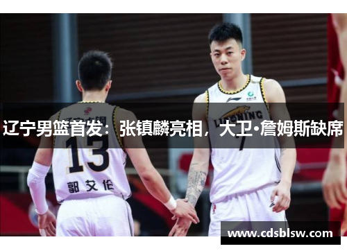 辽宁男篮首发：张镇麟亮相，大卫·詹姆斯缺席